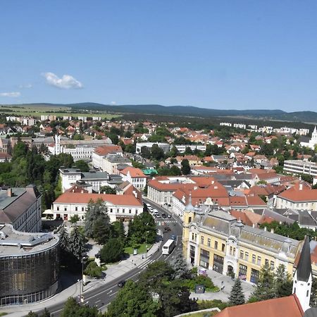 Veszprém Panorama View Family Apartment מראה חיצוני תמונה