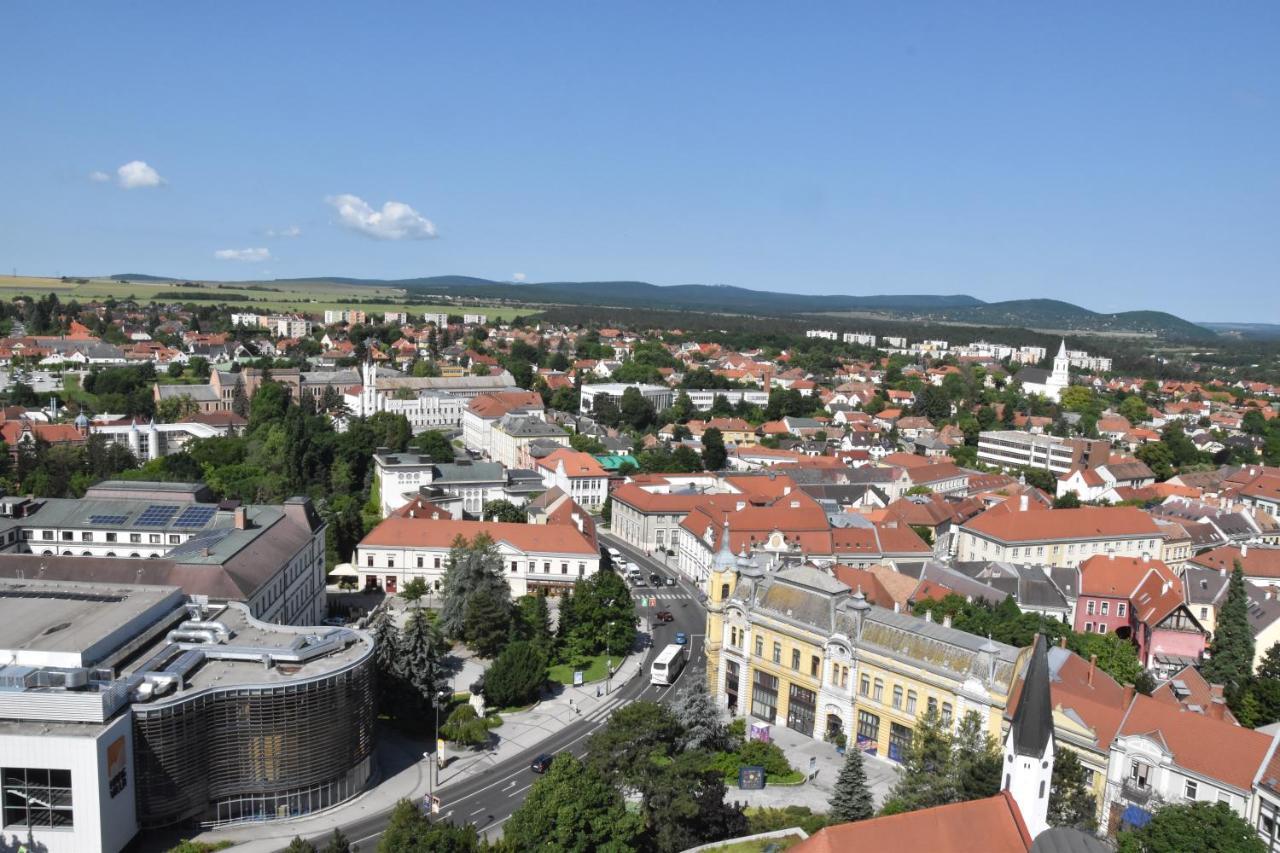 Veszprém Panorama View Family Apartment מראה חיצוני תמונה